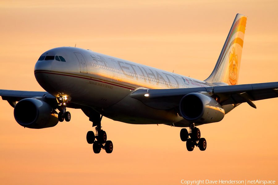Etihad Airways Airbus A330-243 (A6-EYD) | Photo 16