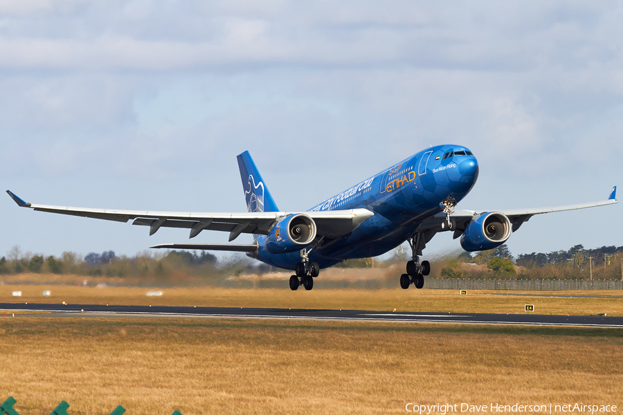 Etihad Airways Airbus A330-243 (A6-EYE) | Photo 23571