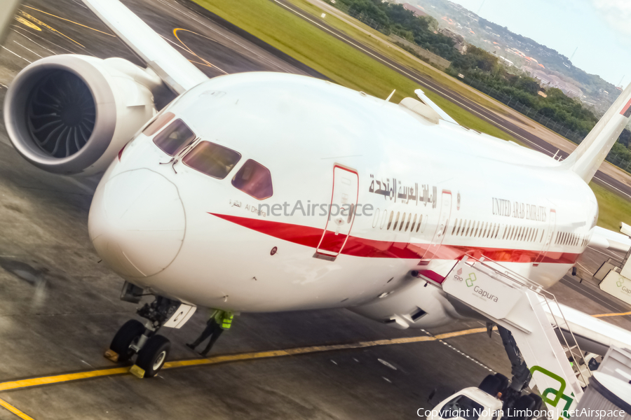 United Arab Emirates Government (Abu Dhabi) Boeing 787-8 Dreamliner (A6-PFC) | Photo 537859