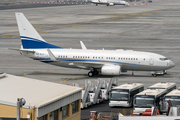 Royal Jet Boeing 737-7Z5(BBJ) (A6-RJY) at  Tenerife Sur - Reina Sofia, Spain