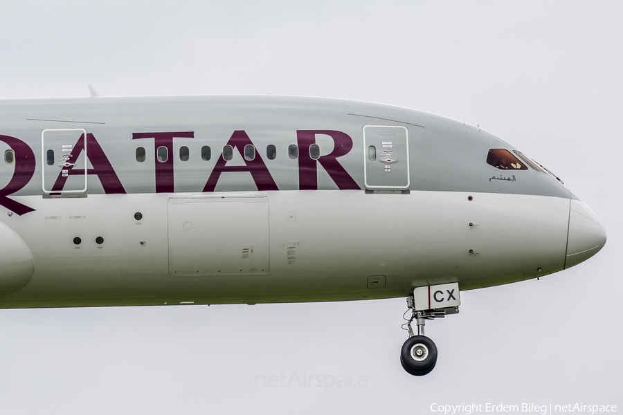 Qatar Airways Boeing 787-8 Dreamliner (A7-BCX) | Photo 110817