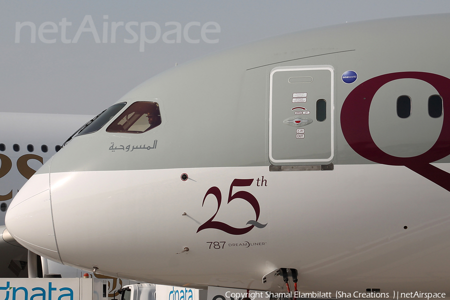 Qatar Airways Boeing 787-8 Dreamliner (A7-BCY) | Photo 92232