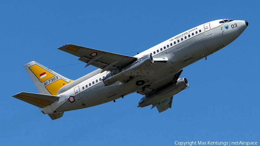 Indonesian Air Force (TNI-AU) Boeing 737-2X9(Adv) (AI-7303) | Photo 549984