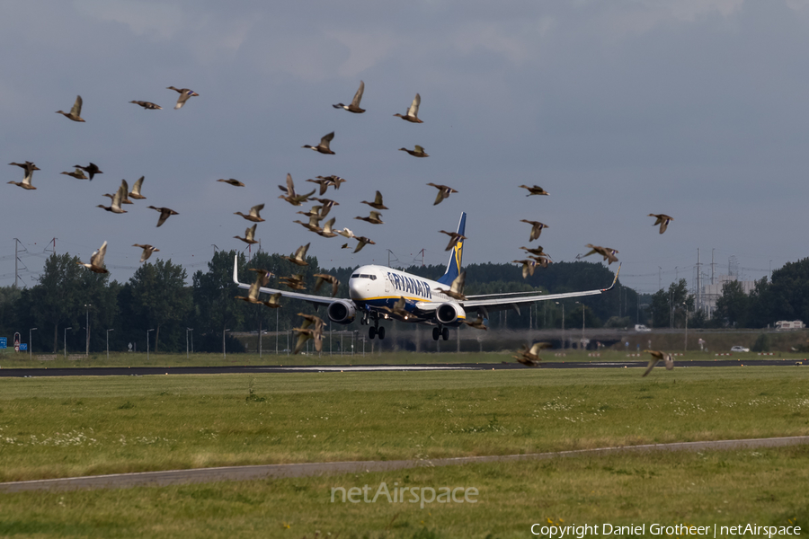 Aviation photo 135895