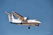 Mexican Navy (Armada de Mexico) de Havilland Canada DHC-8-202Q (AMT-230) at  Mexico City - Lic. Benito Juarez International, Mexico