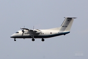 Mexican Navy (Armada de Mexico) de Havilland Canada DHC-8-202Q (ANX-1230) at  Mexico City - Lic. Benito Juarez International, Mexico