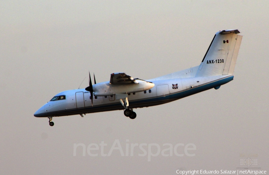 Mexican Navy (Armada de Mexico) de Havilland Canada DHC-8-202Q (ANX-1230) | Photo 227946