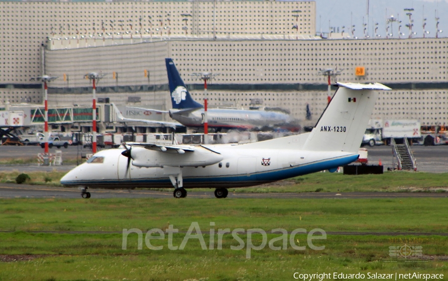 Mexican Navy (Armada de Mexico) de Havilland Canada DHC-8-202Q (ANX-1230) | Photo 335615