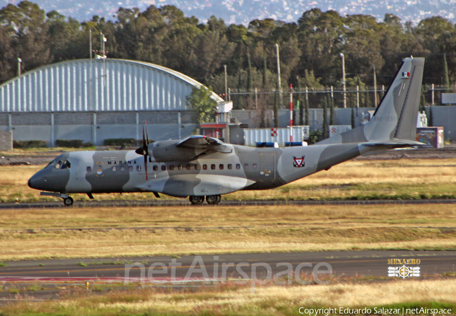 Mexican Navy (Armada de Mexico) CASA C-295M (ANX-1250) | Photo 631914