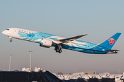 China Southern Airlines Boeing 787-9 Dreamliner (B-1243) at  Amsterdam - Schiphol, Netherlands