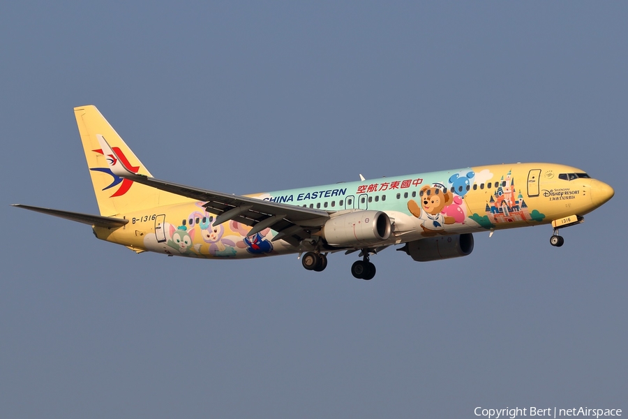 China Eastern Airlines Boeing 737-89P (B-1316) | Photo 530215