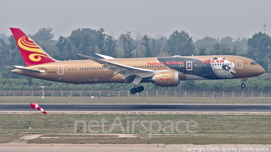 Hainan Airlines Boeing 787-9 Dreamliner (B-1343) | Photo 248964