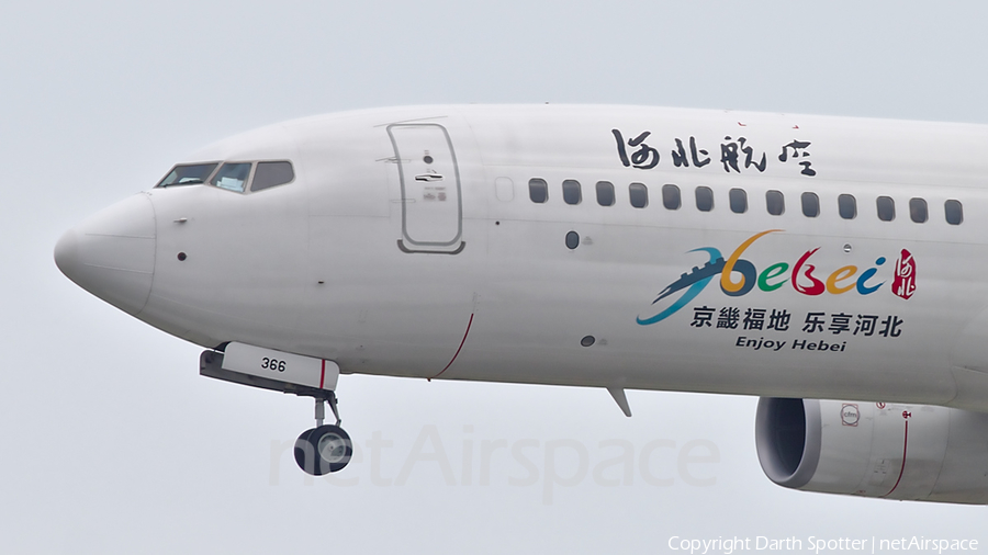Hebei Airlines Boeing 737-8LW (B-1366) | Photo 310153