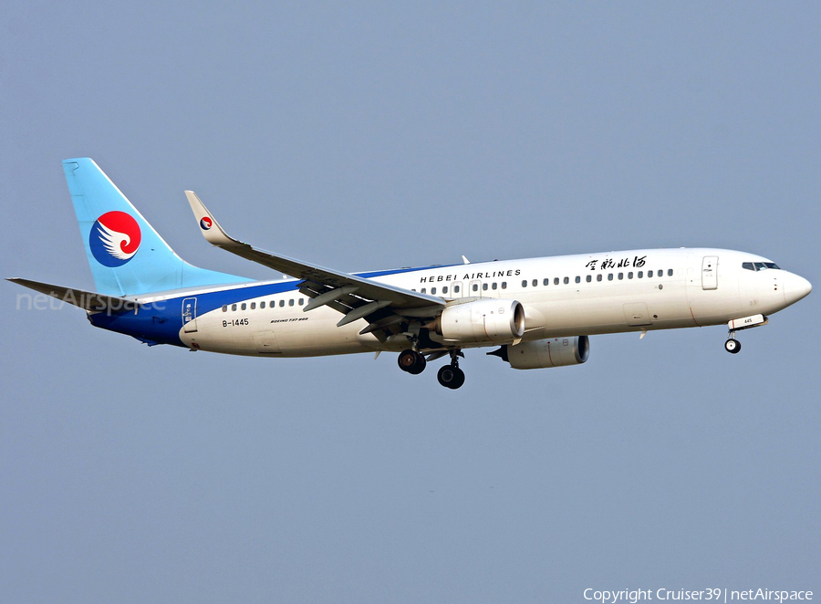 Hebei Airlines Boeing 737-8LW (B-1445) | Photo 347448