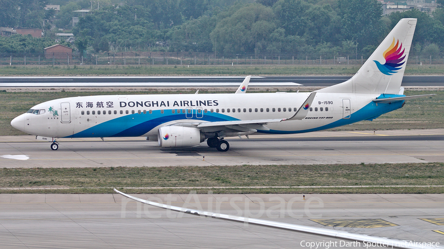 Donghai Airlines Boeing 737-83Z (B-1590) | Photo 249075