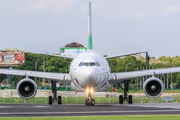 EVA Air Airbus A330-302X (B-16333) at  Denpasar/Bali - Ngurah Rai International, Indonesia