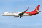 Shenzhen Airlines Boeing 737-87L (B-1713) at  Singapore - Changi, Singapore