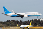 Xiamen Airlines Boeing 737-85C (B-1964) at  Tokyo - Narita International, Japan