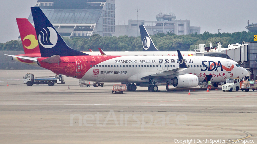 Shandong Airlines Boeing 737-85N (B-1982) | Photo 252315