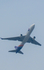 YTO Cargo Airlines Boeing 767-33A(ER)(BDSF) (B-221H) at  Chennai - International, India