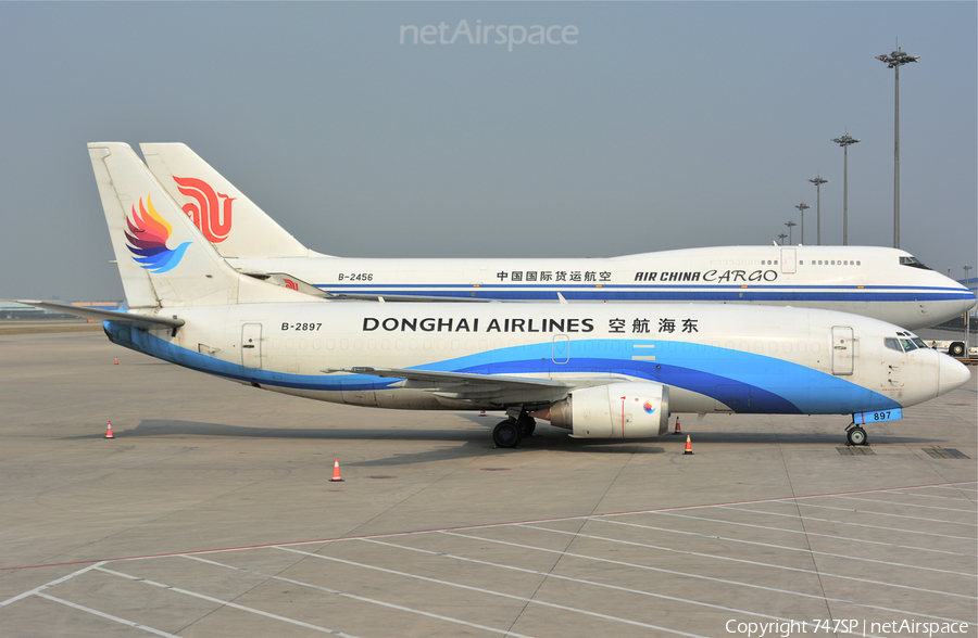 Donghai Airlines Boeing 737-3Y0(SF) (B-2897) | Photo 32697