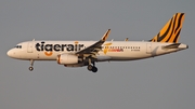 Tigerair Taiwan Airbus A320-232 (B-50006) at  Tokyo - Narita International, Japan