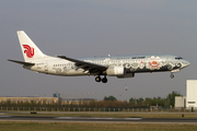 Air China Boeing 737-86N (B-5176) at  Beijing - Capital, China