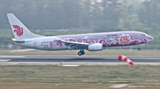 Air China Boeing 737-86N (B-5177) at  Beijing - Capital, China