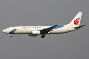 Dalian Airlines Boeing 737-86N (B-5196) at  Beijing - Capital, China