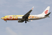 Air China Boeing 737-89L (B-5198) at  Singapore - Changi, Singapore