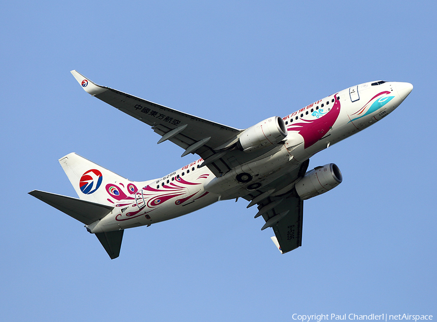 China Eastern Airlines Boeing 737-89P (B-5295) | Photo 48598