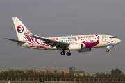 China Eastern Airlines Boeing 737-89P (B-5295) at  Beijing - Capital, China