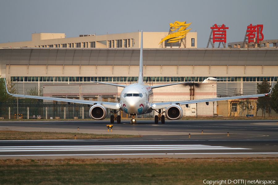 China Eastern Airlines Boeing 737-89P (B-5295) | Photo 407189
