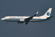 Xiamen Airlines Boeing 737-85C (B-5302) at  Hong Kong - Chek Lap Kok International, Hong Kong