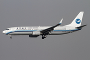 Xiamen Airlines Boeing 737-85C (B-5306) at  Beijing - Capital, China
