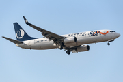 Shandong Airlines Boeing 737-85N (B-5348) at  Beijing - Capital, China