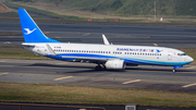 Xiamen Airlines Boeing 737-8FH (B-5355) at  Taipei - Taoyuan, Taiwan
