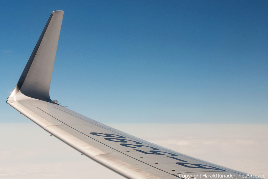 Air China Boeing 737-89L (B-5398) | Photo 304190