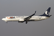 Shandong Airlines Boeing 737-86N (B-5513) at  Beijing - Capital, China