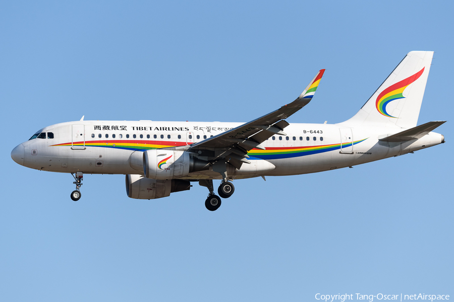 Tibet Airlines Airbus A319-115 (B-6443) | Photo 450671