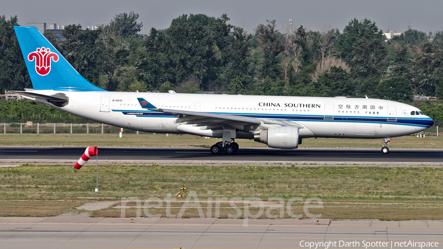 China Southern Airlines Airbus A330-223 (B-6531) | Photo 252696