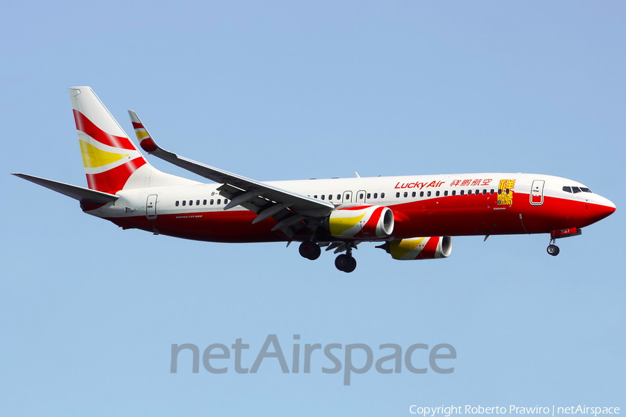 Lucky Air Boeing 737-84P (B-7167) | Photo 390595