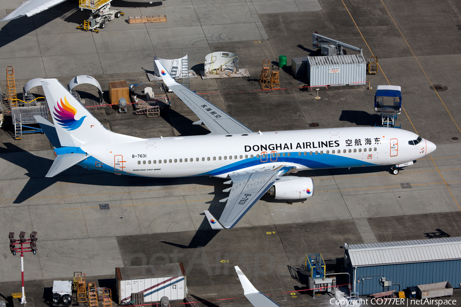Donghai Airlines Boeing 737-83Z (B-7631) | Photo 119039
