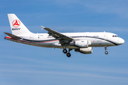 Sany Group Airbus A319-115 CJ (B-8319) at  Hamburg - Fuhlsbuettel (Helmut Schmidt), Germany