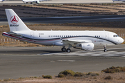 Sany Group Airbus A319-115 CJ (B-8319) at  Gran Canaria, Spain