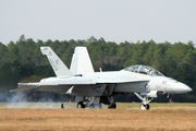 United States Navy Boeing F/A-18F Super Hornet (BUNO 166659) at  Pensacola - NAS, United States