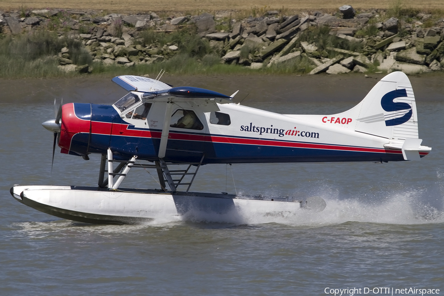 Salt Spring Air de Havilland Canada DHC-2 Mk I Beaver (C-FAOP) | Photo 447170