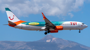 TUI Airlines Netherlands (Sunwing) Boeing 737-8Q8 (C-FDBD) at  Tenerife Sur - Reina Sofia, Spain