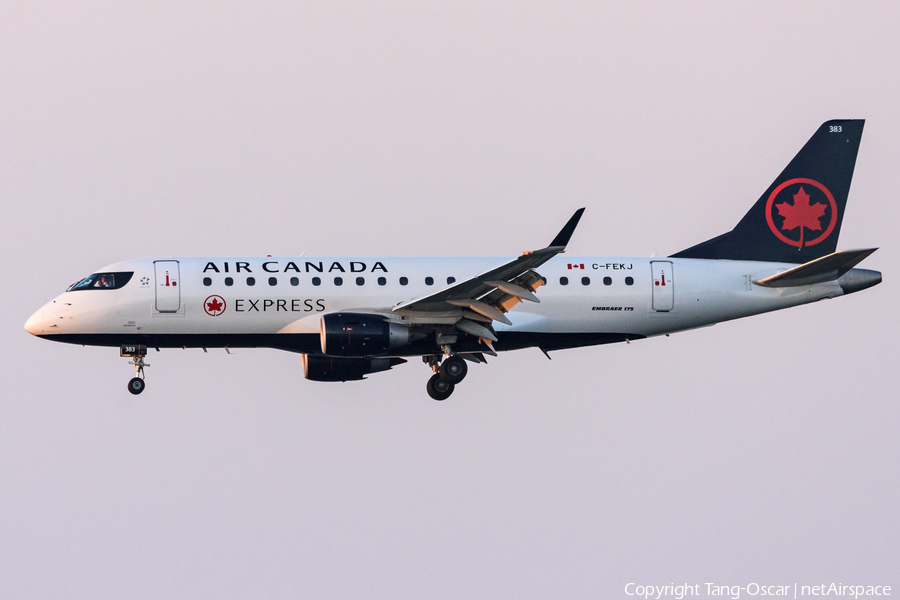 Air Canada Express (Sky Regional) Embraer ERJ-175SU (ERJ-170-200SU) (C-FEKJ) | Photo 541299
