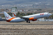 TUI Airlines Netherlands (Sunwing) Boeing 737-81D (C-FFPH) at  Tenerife Sur - Reina Sofia, Spain